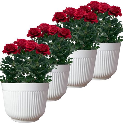 TECHBLAZE 12 inch Pots for Plants Big Size Plastic Flower planters ...