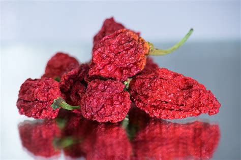 Top 10 Hottest Peppers on the Scoville Scale - Ghost Scream Hot Sauce