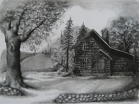 Illustration Of Nature Pencil Shading