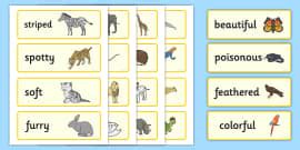 Animal Adjectives Word Mat (teacher made) - Twinkl