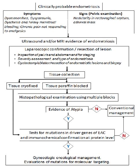 Disadvantages of Pre Emptive Scheduling Algorithm 的图像结果