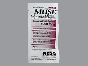 Using Muse Suppository 的图像结果