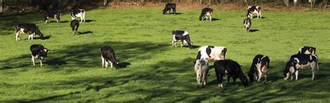 Los motores del campo | Economía | EL PAÍS