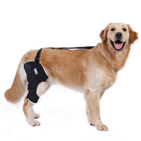 Buy Dog Knee Brace for Torn ACL, Two Angled Lateral Aluminum Splints ...
