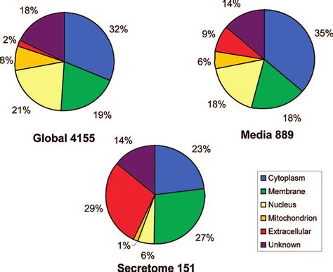 Dynamic Cellular Localization Chart 的图像结果