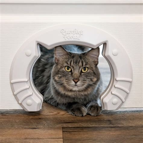 Buy Cat Door Built In Interior Pet Door for Small, Medium, & Large Cats ...