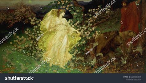 History Drawing 的图像结果