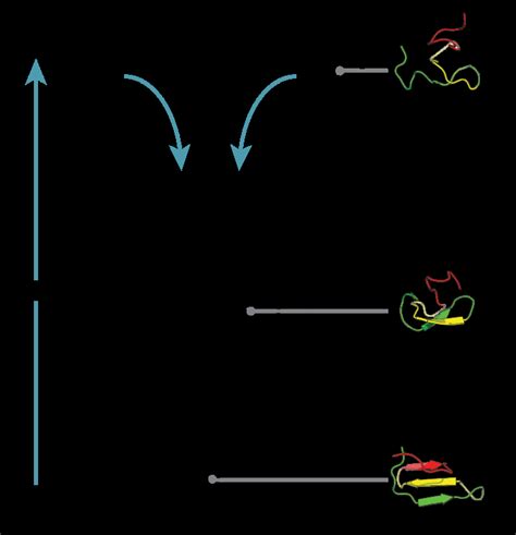 Protein Evolution Landscape 的图像结果