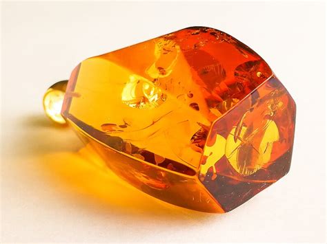 Amber Module Review 的图像结果