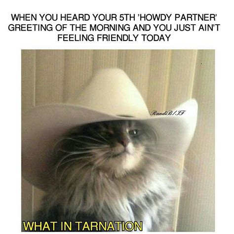 The New Meme That Will Literally Leave You Asking the Question "What in ...