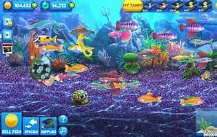 care fish games to play now | Download it from care fish games to play ...