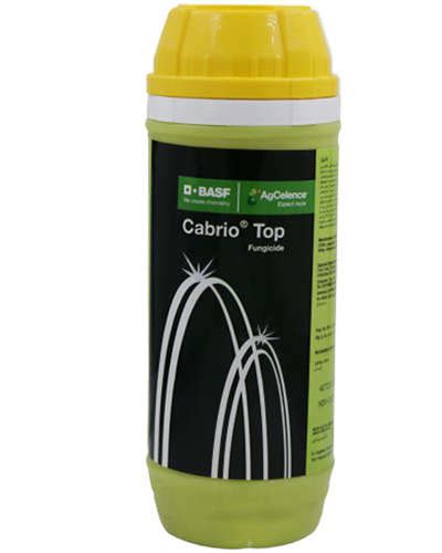 एग्री दुकान