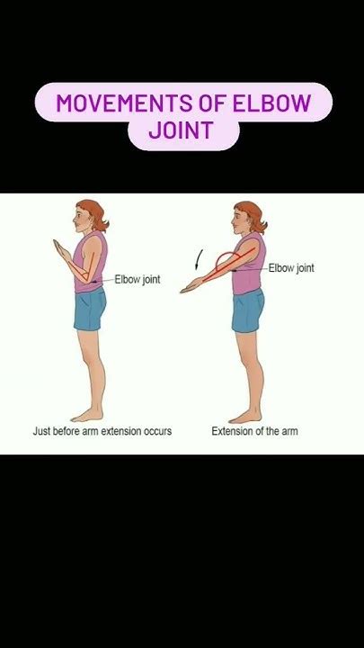 Image result for Codean