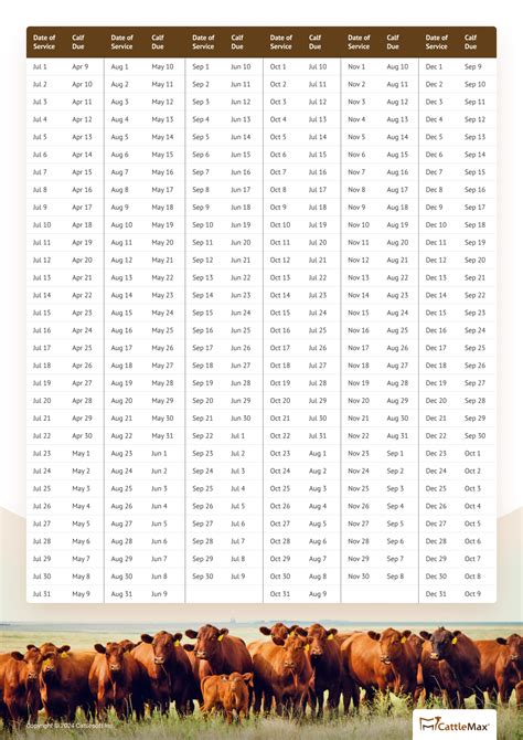 Gestation Cattle Table