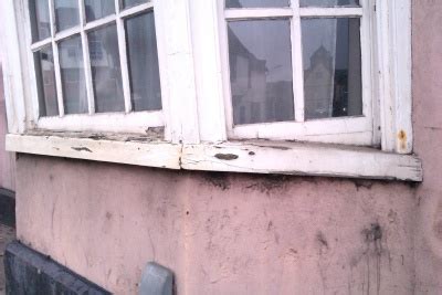 Image result for Level 2 the Windows