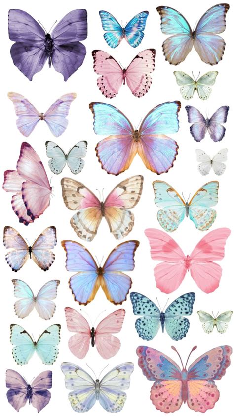 Image result for Butterfly Patterns