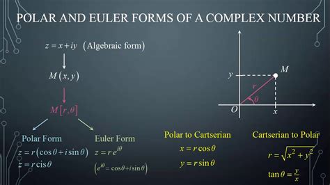 Image result for Euler Formula Complex Number