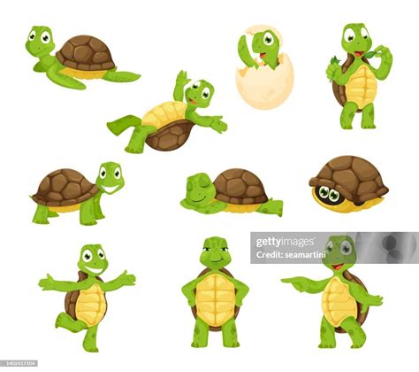 Tortoise Shell Characters 的图像结果