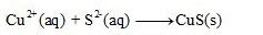 Write the net ionic equation (including phases) that corresponds to Cu ...