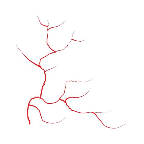 Vector Illustration Of Human Red Blood Vessels And Eye Veins In The Blood System Isolated On A ...