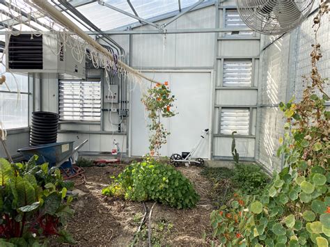 Best Flooring for a Greenhouse - Greenhouse Floor Ideas