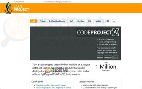 Code Project 的图像结果