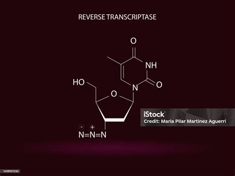 Image result for Transcriptase Enzyme