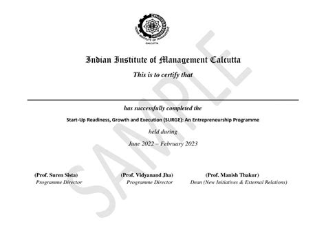 Start-Up Readiness, Growth and Execution (SURGE): An Entrepreneurship ...