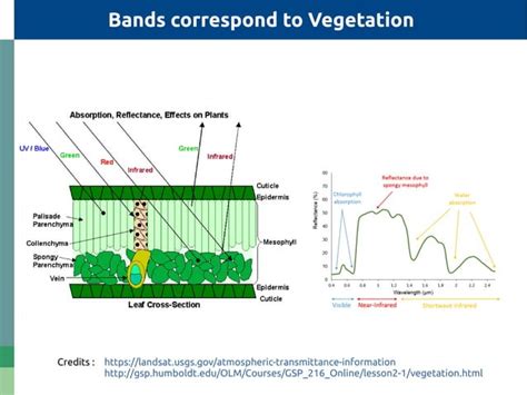 Image result for Calculating NDVI Using GDAL