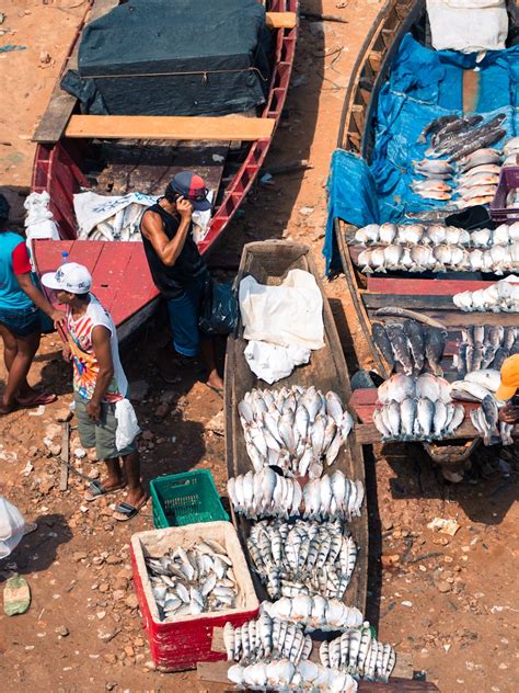 New Sub Scheme Launched Under PM Matsya Sampada Yojana, Check Details