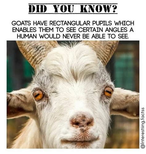 Interesting Things 的图像结果