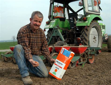 Rübensorten: Das sind die 5 Lieblinge der Landwirte | agrarheute.com