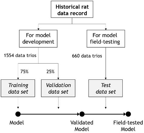 Neural Network-Based Calculator for Rat Glomerular Filtration Rate