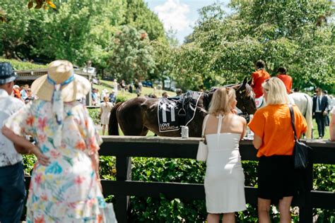 SISTEMA 1400 | Auckland Thoroughbred Racing