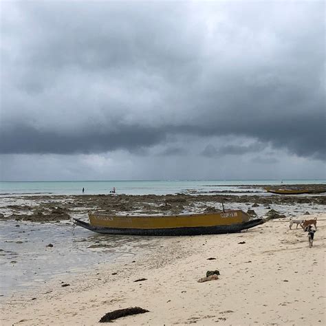 CROSSBILL BEACH RESORT (Havelock Island, Andaman and Nicobar Islands ...