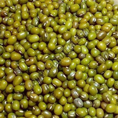 Green Moong Beans Supplier from Ahilya Nagar