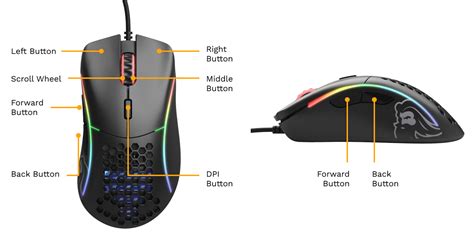 Image result for Glorious Model D Size