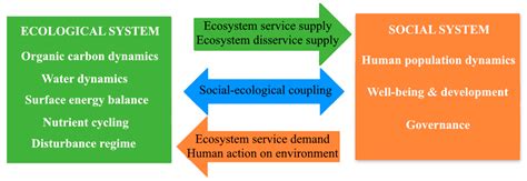 Systematic Review of Agent-Based and System Dynamics Models for Social ...