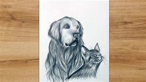 How to Draw Realistic Dog and Cat Step by Step | Pencil Sketch - YouTube