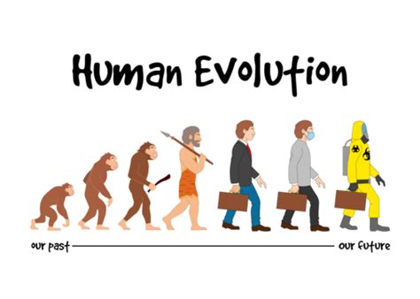 Evolution PNG 的图像结果