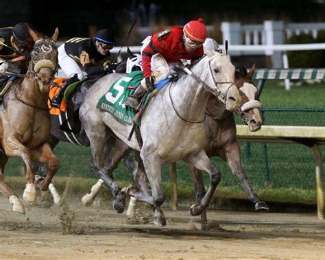 Kentucky Derby contender profile: Silver Prospector | TwinSpires