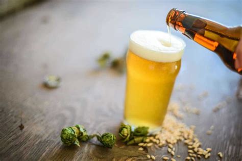What is IBU in Beer: A Guide for Home Brewers and Beer Connoisseurs