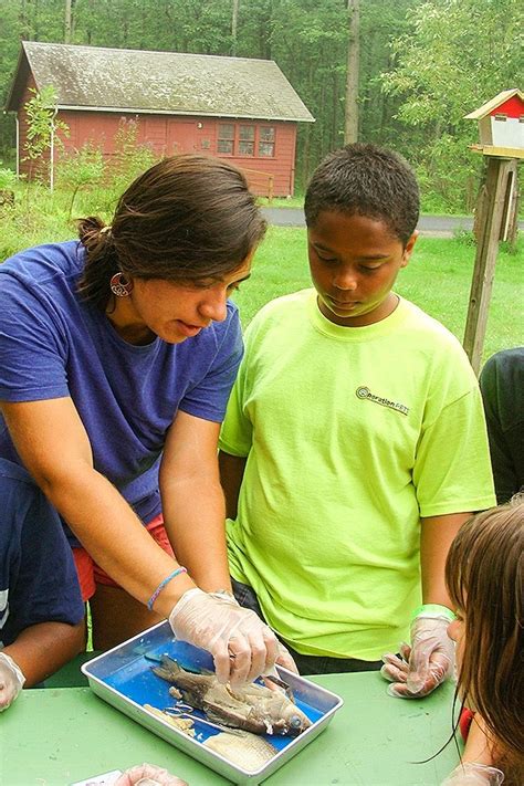 Science under the sky and stars at Cradle Beach - University at Buffalo