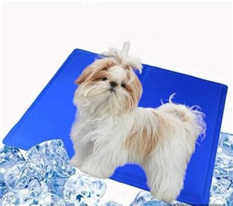 Petahouse (New) (Md (50Cm X 65Cm)) Holy Paws Polyester Soft Cooling Bed ...