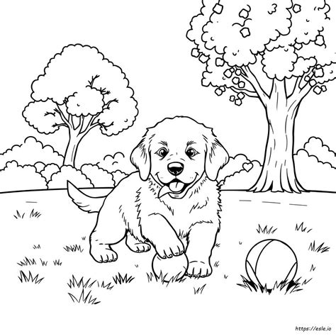 Golden Retriever Puppy Coloring Pages