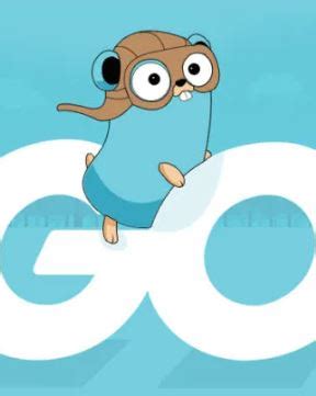 Gogeeko Informatica 的图像结果