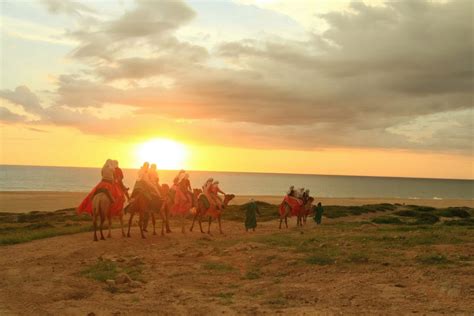 Cabo San Lucas - Sunset Beach Tour - Horse/Camel/ATV - Fun Vacation