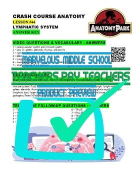 Image result for Crash Course Lymph System