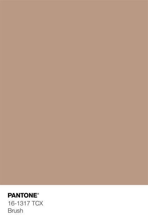 Image result for Colors in Python Program