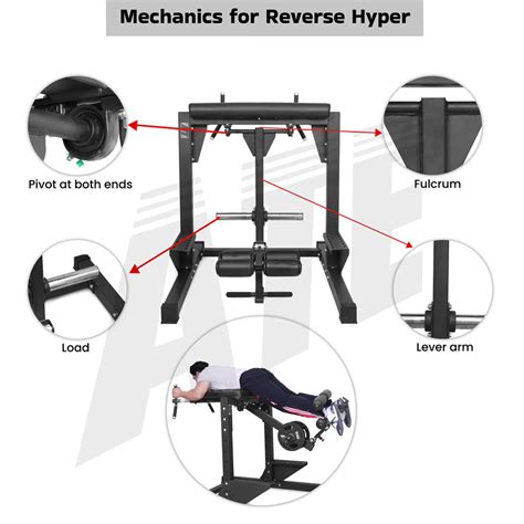 Reverse Hyper Machine –Spinal Decompression & Posterior Chain Training ...